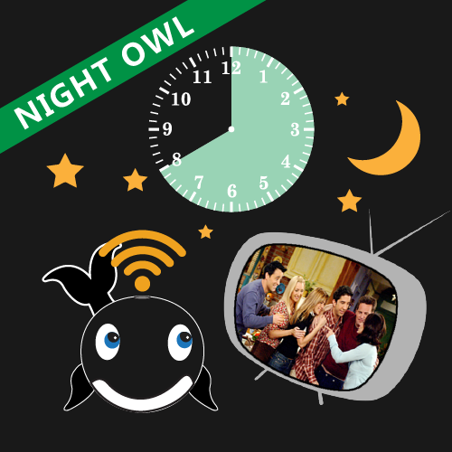 Work from home night owl